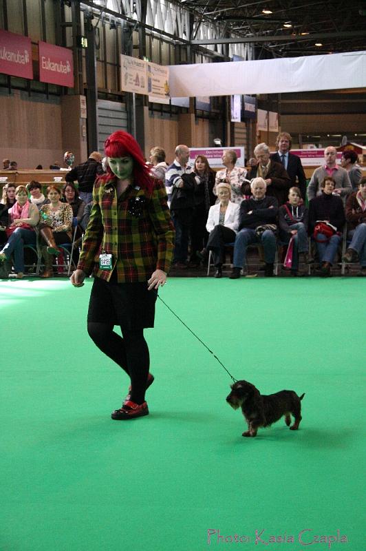 Crufts2011_2 882.jpg